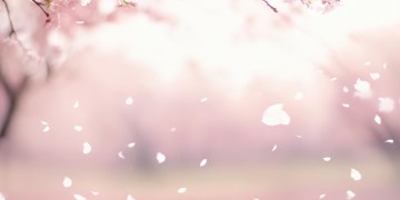 你想走我想留究竟是哪首歌？