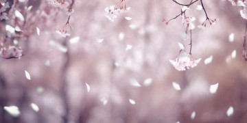 为什么你那么倔强出自哪首歌？