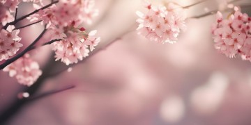 曾经爱得无怨无悔究竟是哪首歌？