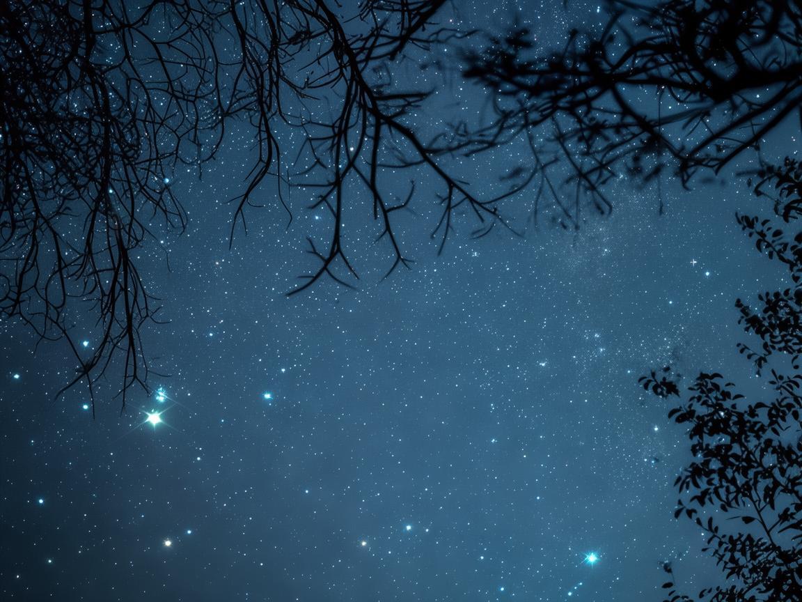 而我仰望星空出自哪首歌？