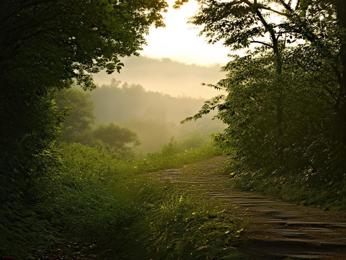 在时光中慢慢行走到底是什么歌? 在时光中慢慢行走到底是什么歌?