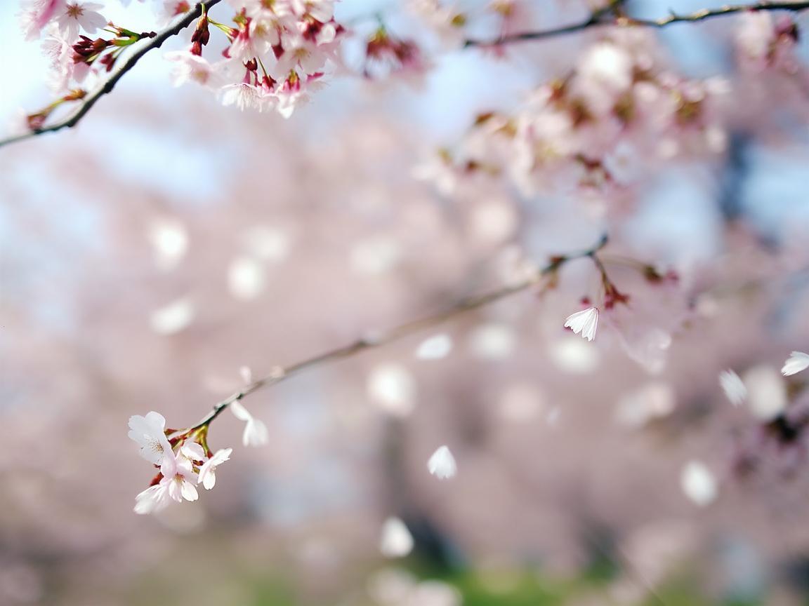 爱会被情伤害这句歌词出自哪首歌? 爱会被情伤害这句歌词出自哪首歌?