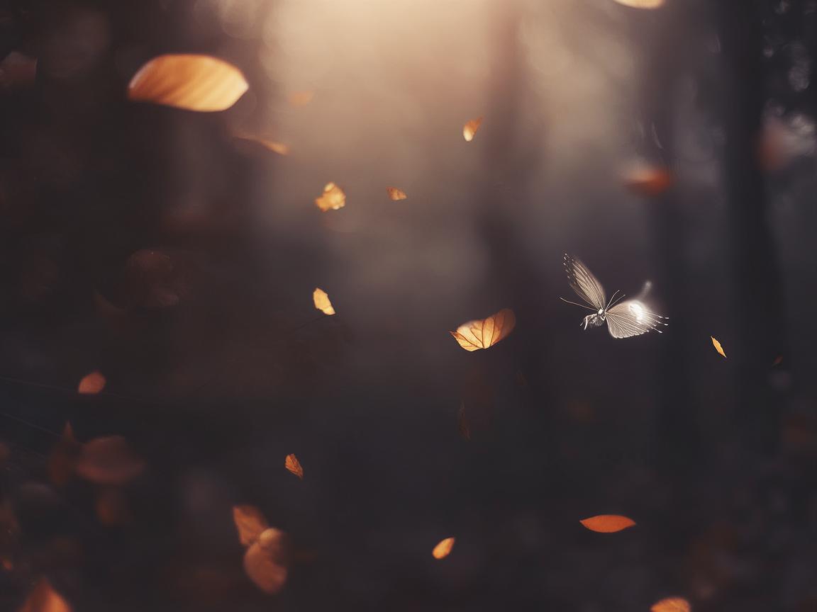 人生每一次的蛰伏出自哪首歌? 人生每一次的蛰伏出自哪首歌?