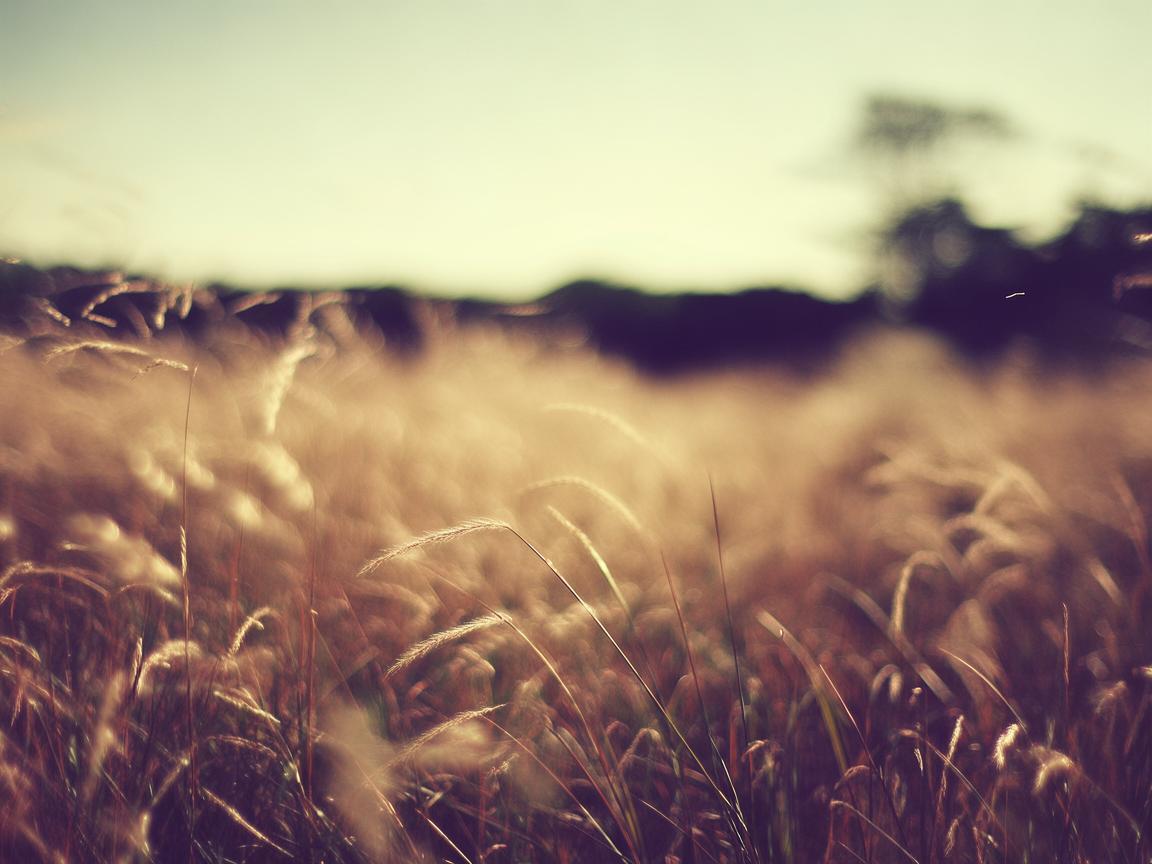 风吹过我的头发这句歌词出自哪首歌? 风吹过我的头发这句歌词出自哪首歌?