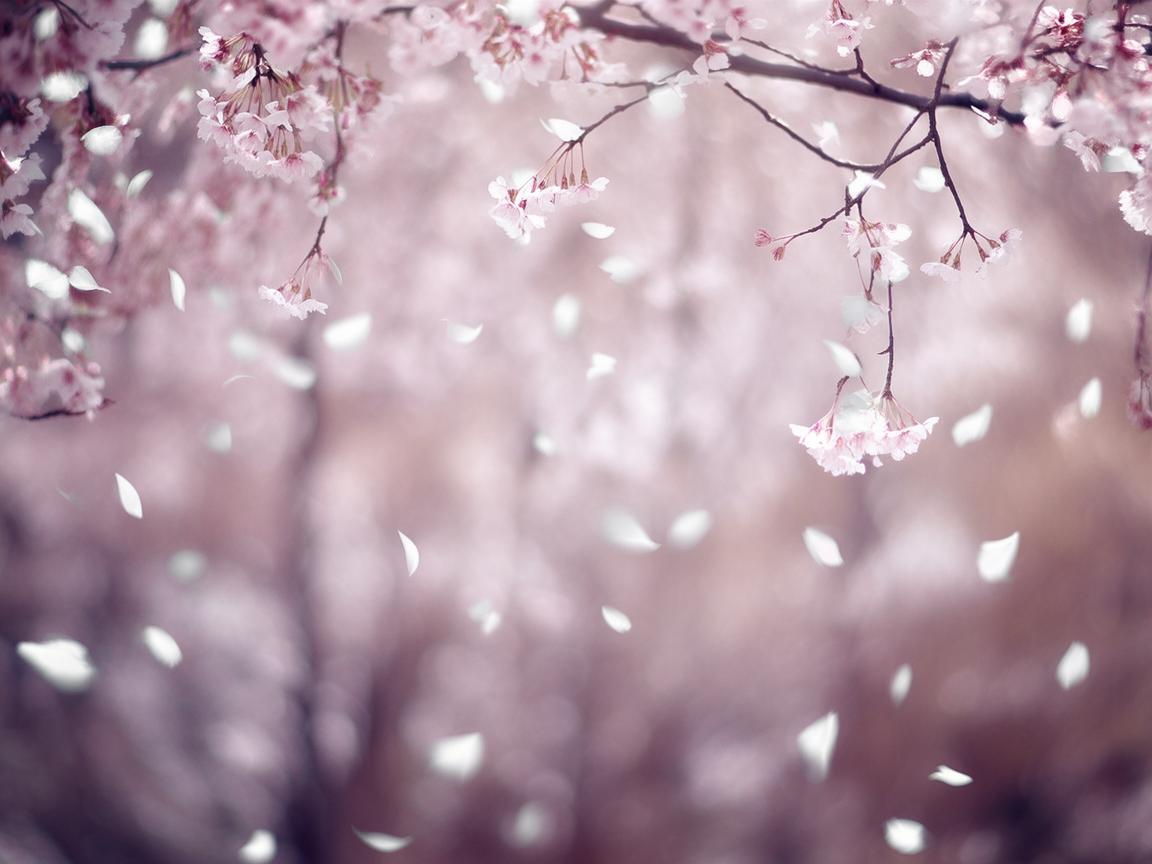 为什么你那么倔强出自哪首歌？